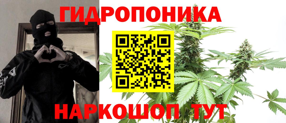 Псилоцибиновые грибы Киров